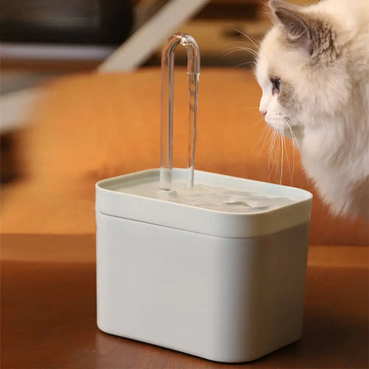 Filtered Cat Water Fountain